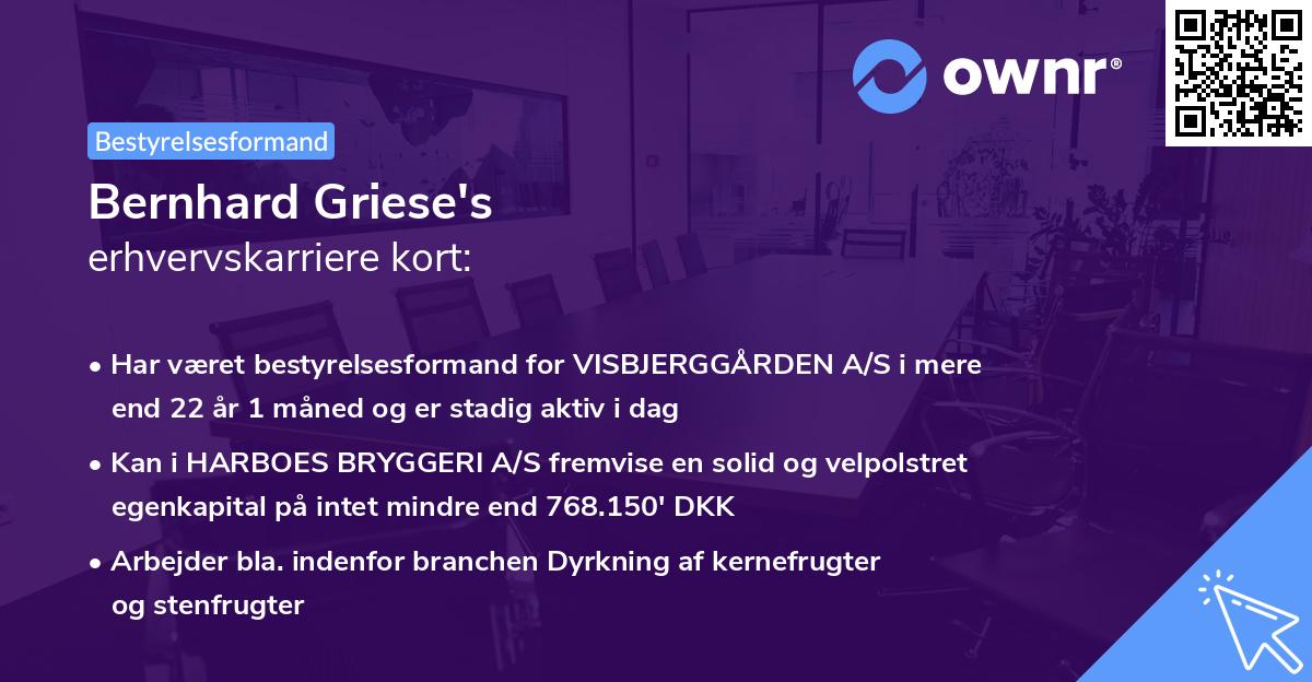 Bernhard Griese's erhvervskarriere kort