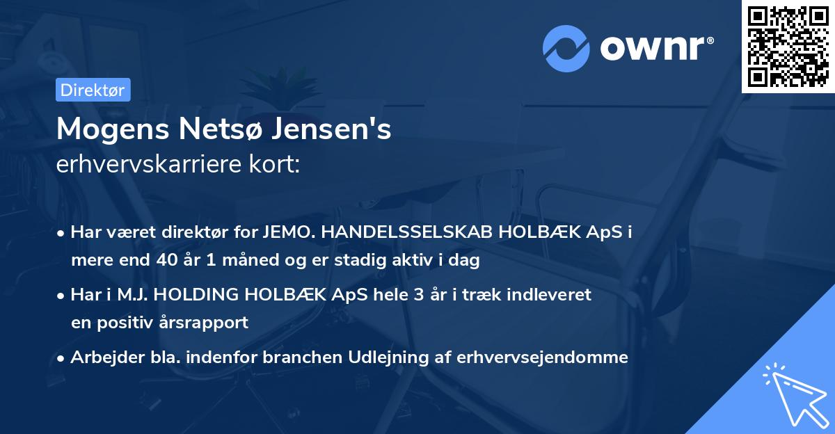 Mogens Netsø Jensen's erhvervskarriere kort