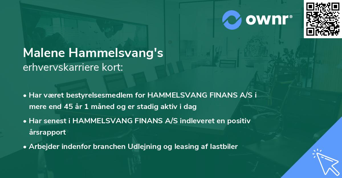 Malene Hammelsvang's erhvervskarriere kort