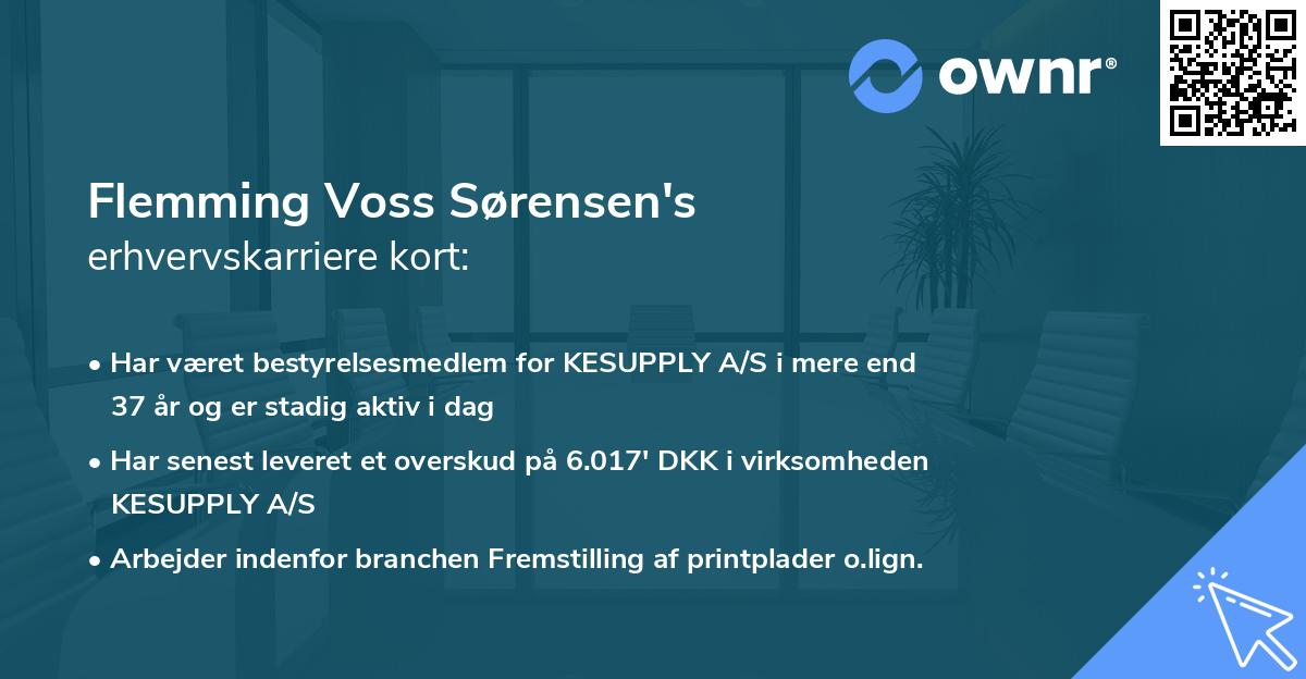 Flemming Voss Sørensen's erhvervskarriere kort