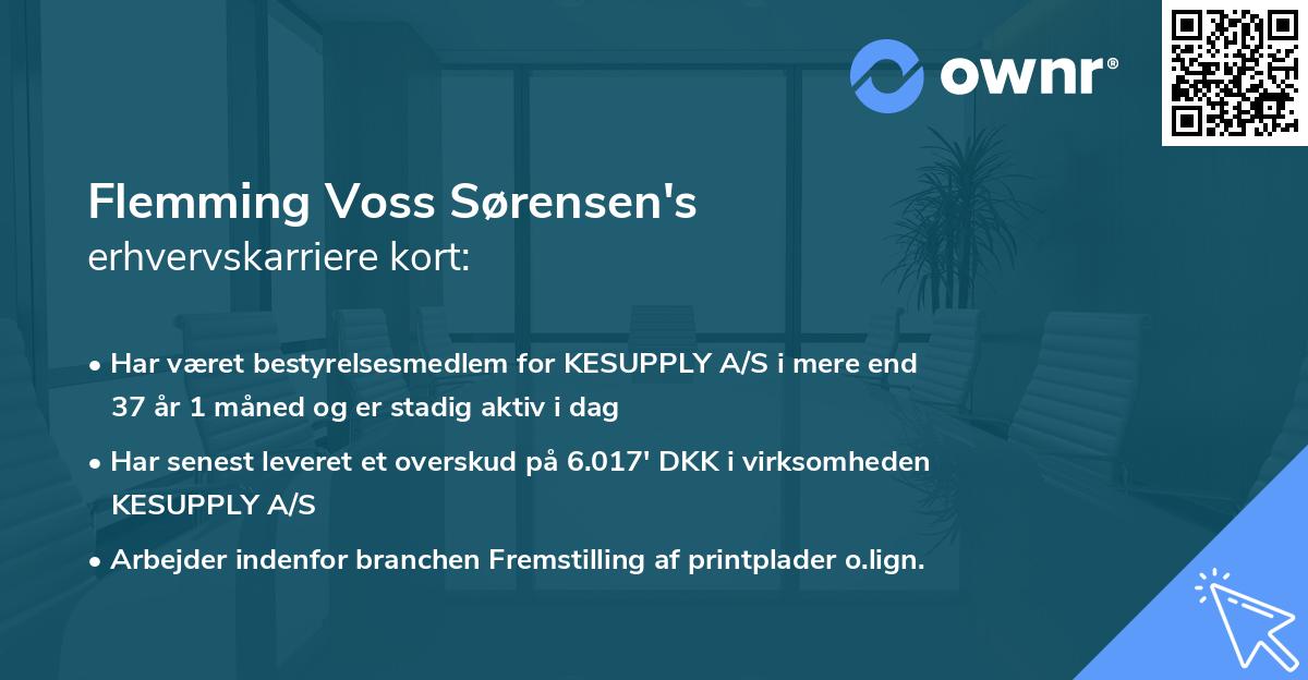 Flemming Voss Sørensen's erhvervskarriere kort
