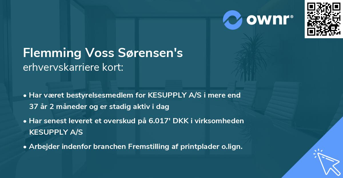 Flemming Voss Sørensen's erhvervskarriere kort