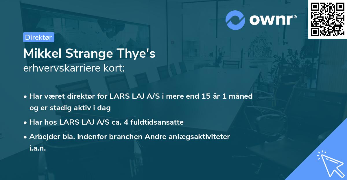 Mikkel Strange Thye's erhvervskarriere kort