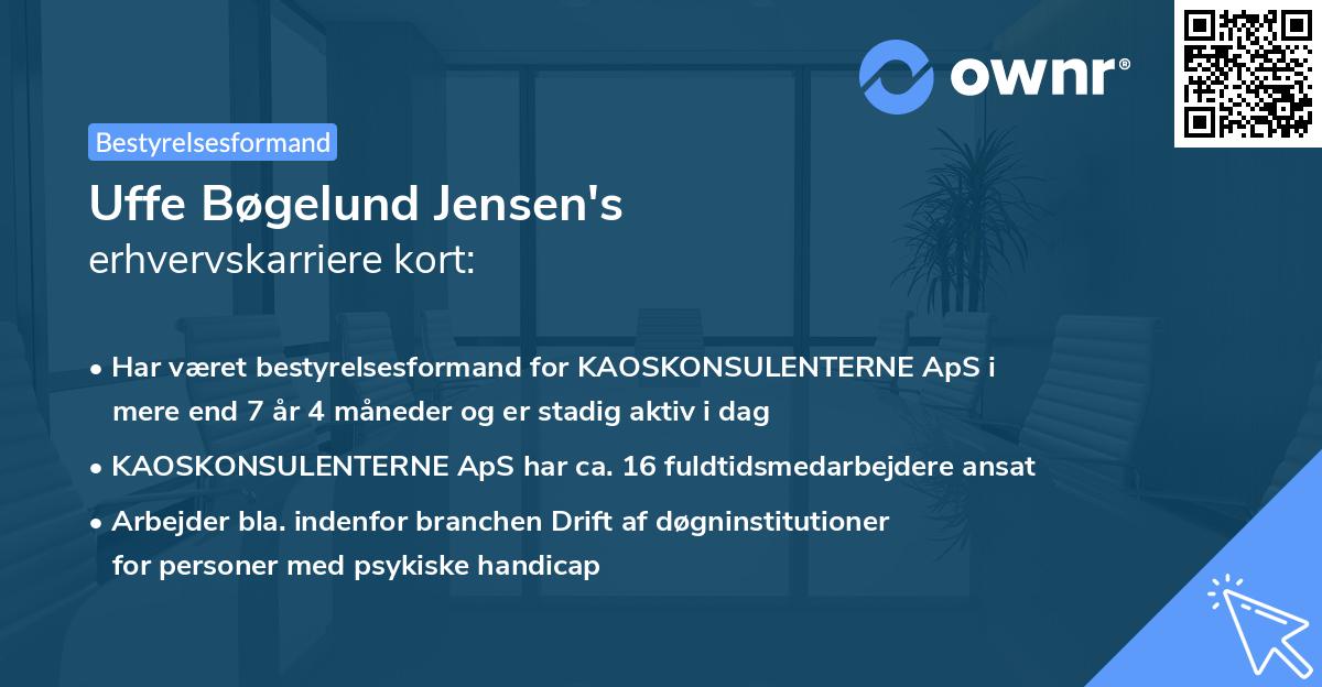 Uffe Bøgelund Jensen's erhvervskarriere kort