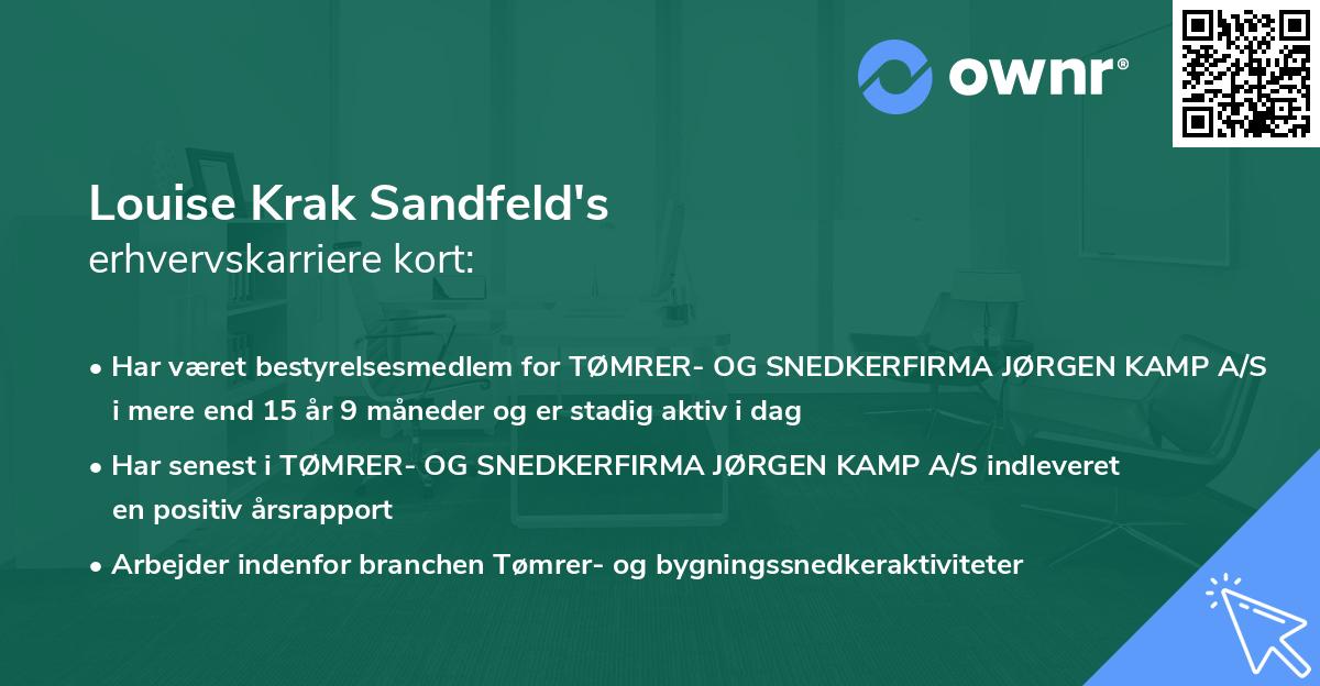 Louise Krak Sandfeld's erhvervskarriere kort