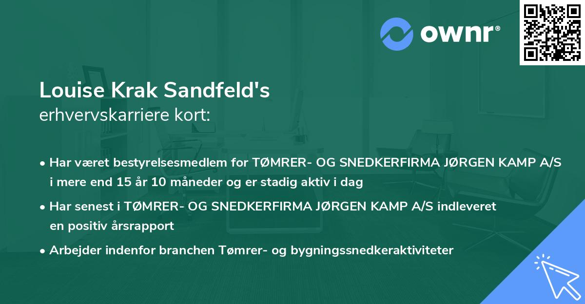 Louise Krak Sandfeld's erhvervskarriere kort