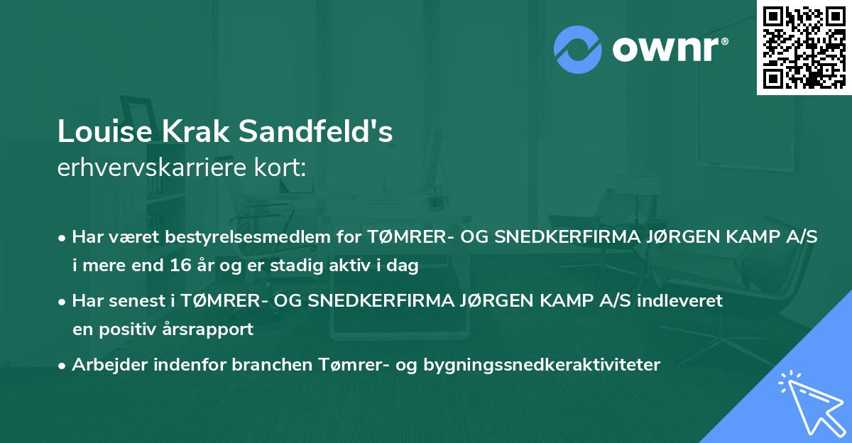 Louise Krak Sandfeld's erhvervskarriere kort