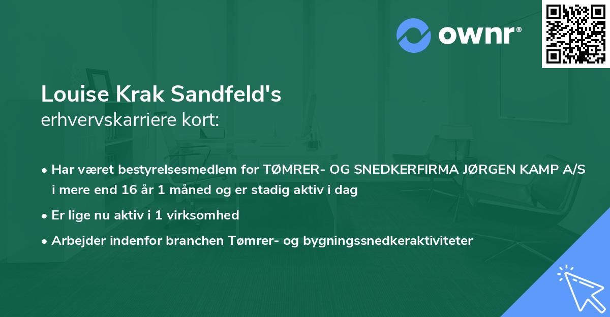Louise Krak Sandfeld's erhvervskarriere kort