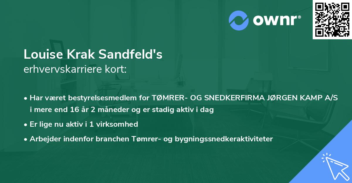 Louise Krak Sandfeld's erhvervskarriere kort