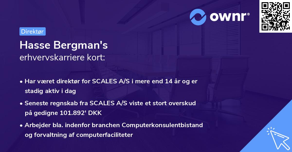 Hasse Bergman's erhvervskarriere kort
