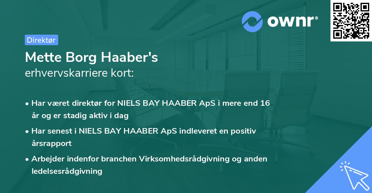 Mette Borg Haaber's erhvervskarriere kort