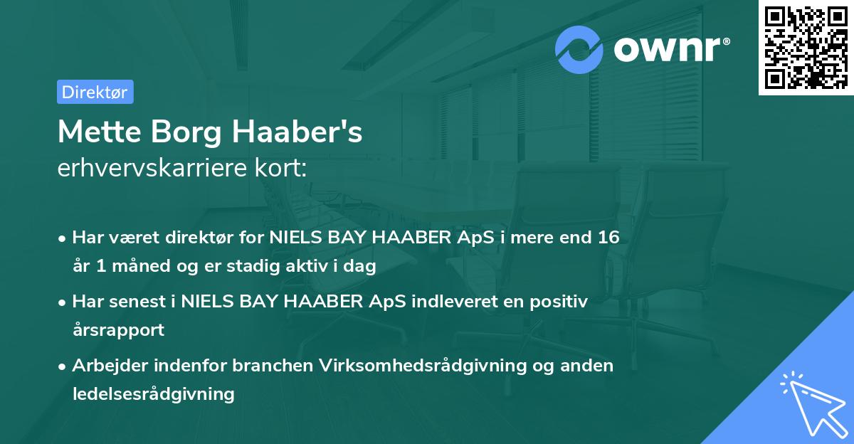 Mette Borg Haaber's erhvervskarriere kort