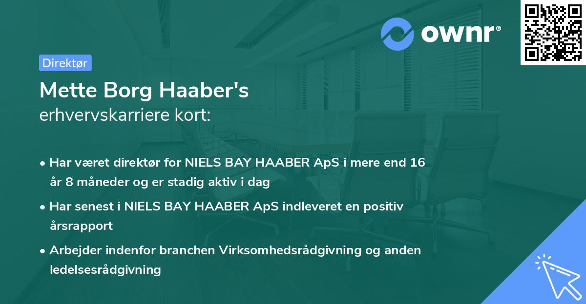 Mette Borg Haaber's erhvervskarriere kort