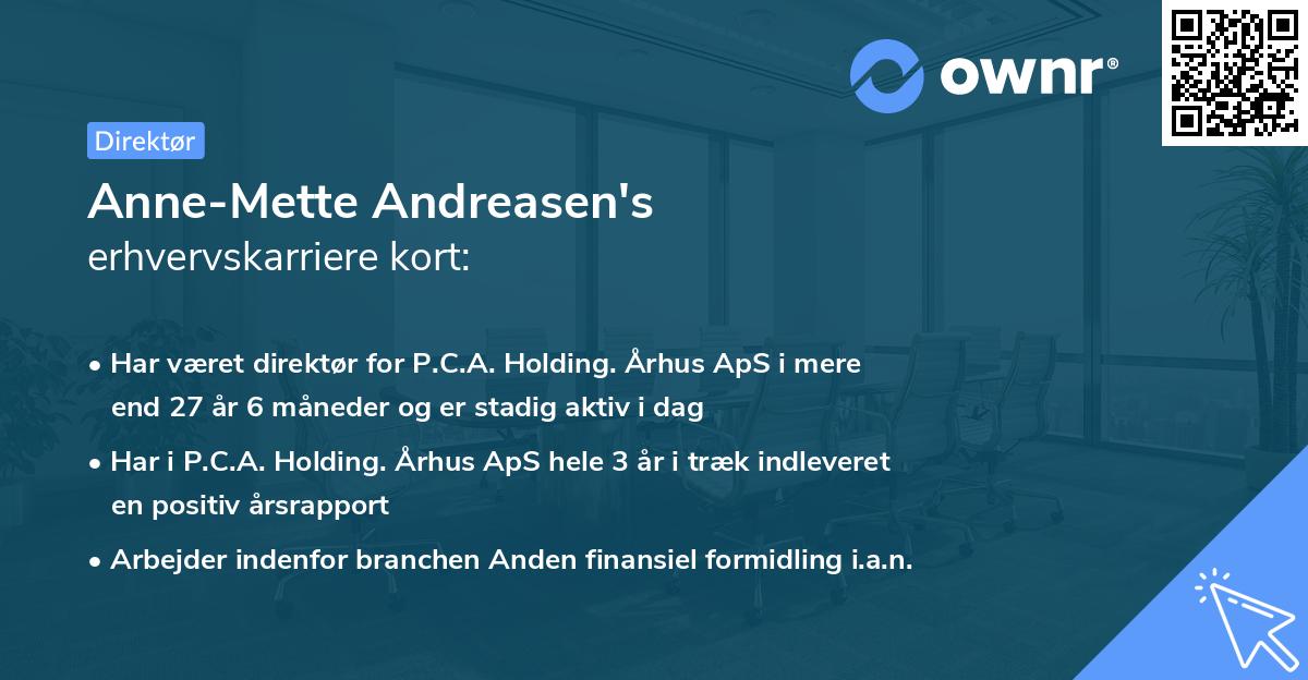 Anne-Mette Andreasen's erhvervskarriere kort