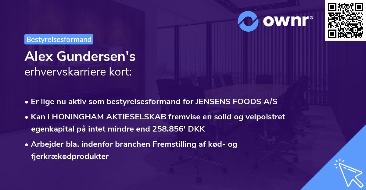 Alex Gundersen's erhvervskarriere kort