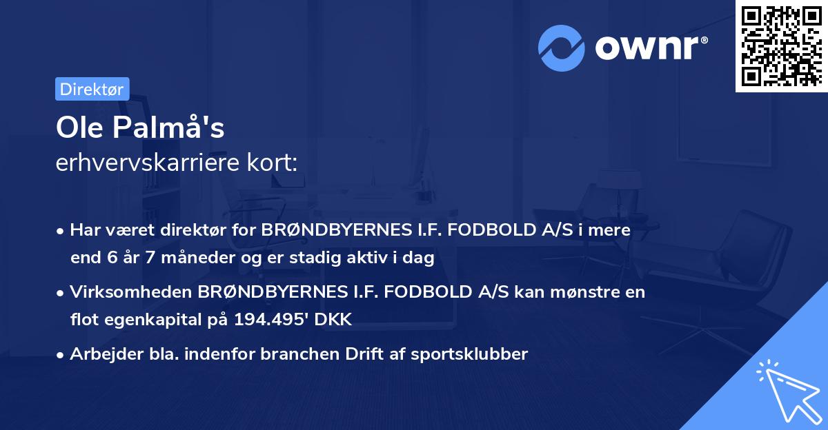 Ole Palmå's erhvervskarriere kort