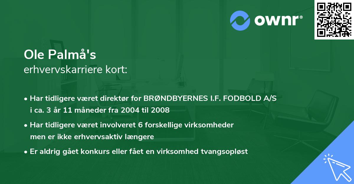 Ole Palmå's erhvervskarriere kort