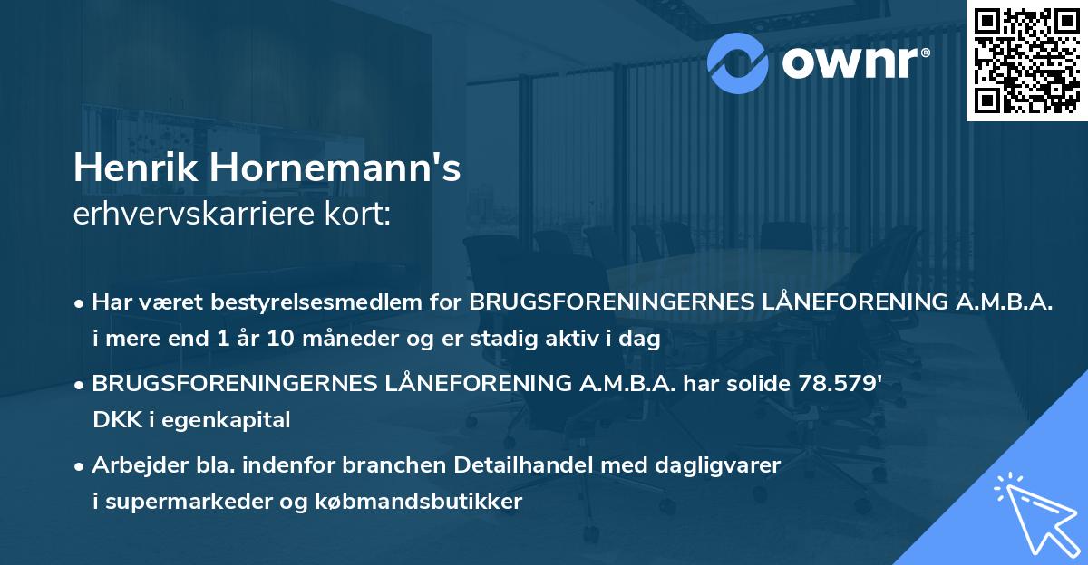 Henrik Hornemann's erhvervskarriere kort