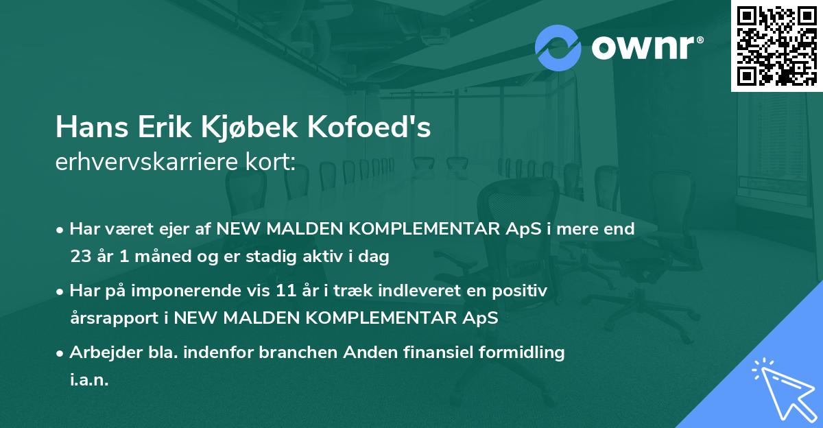 Hans Erik Kjøbek Kofoed's erhvervskarriere kort