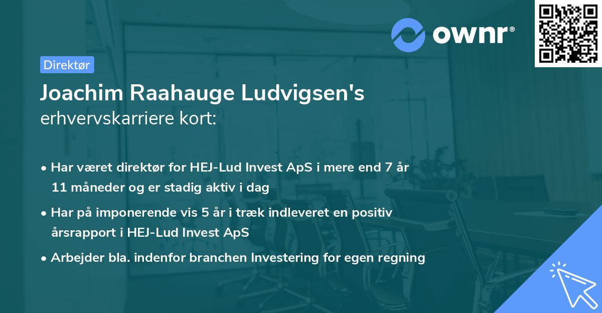 Joachim Raahauge Ludvigsen's erhvervskarriere kort
