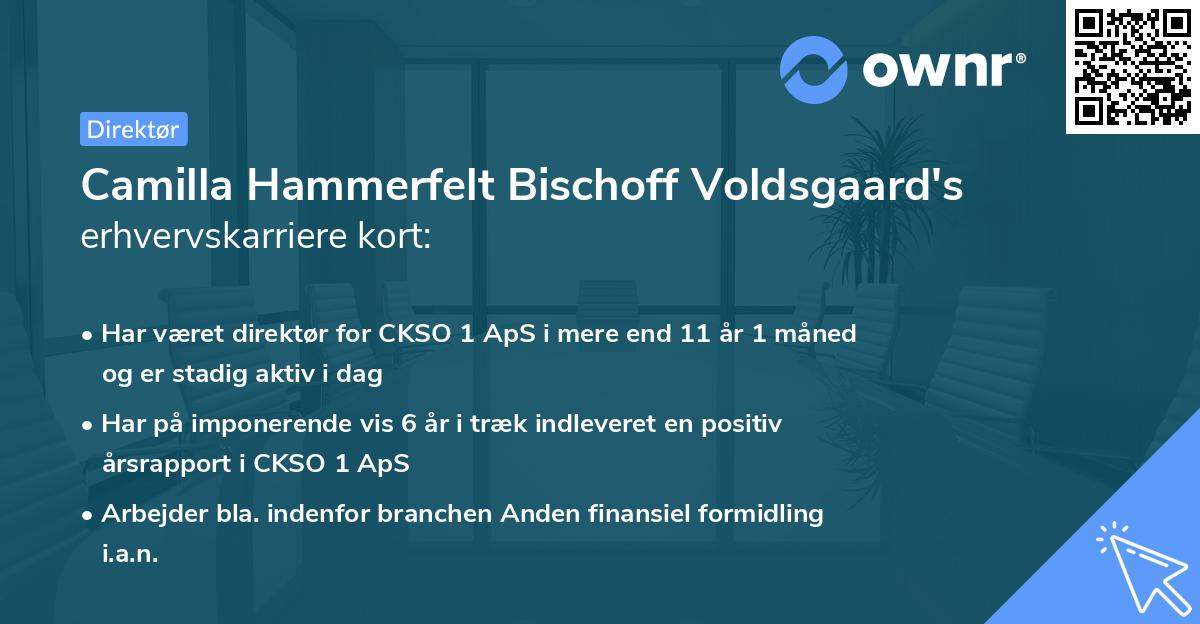 Camilla Hammerfelt Bischoff Voldsgaard's erhvervskarriere kort