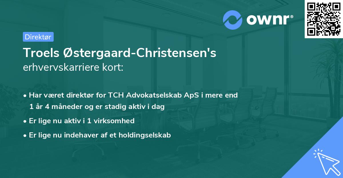 Troels Østergaard-Christensen's erhvervskarriere kort