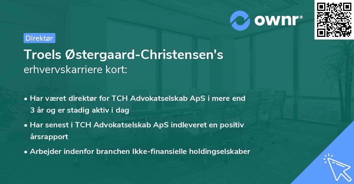 Troels Østergaard-Christensen's erhvervskarriere kort