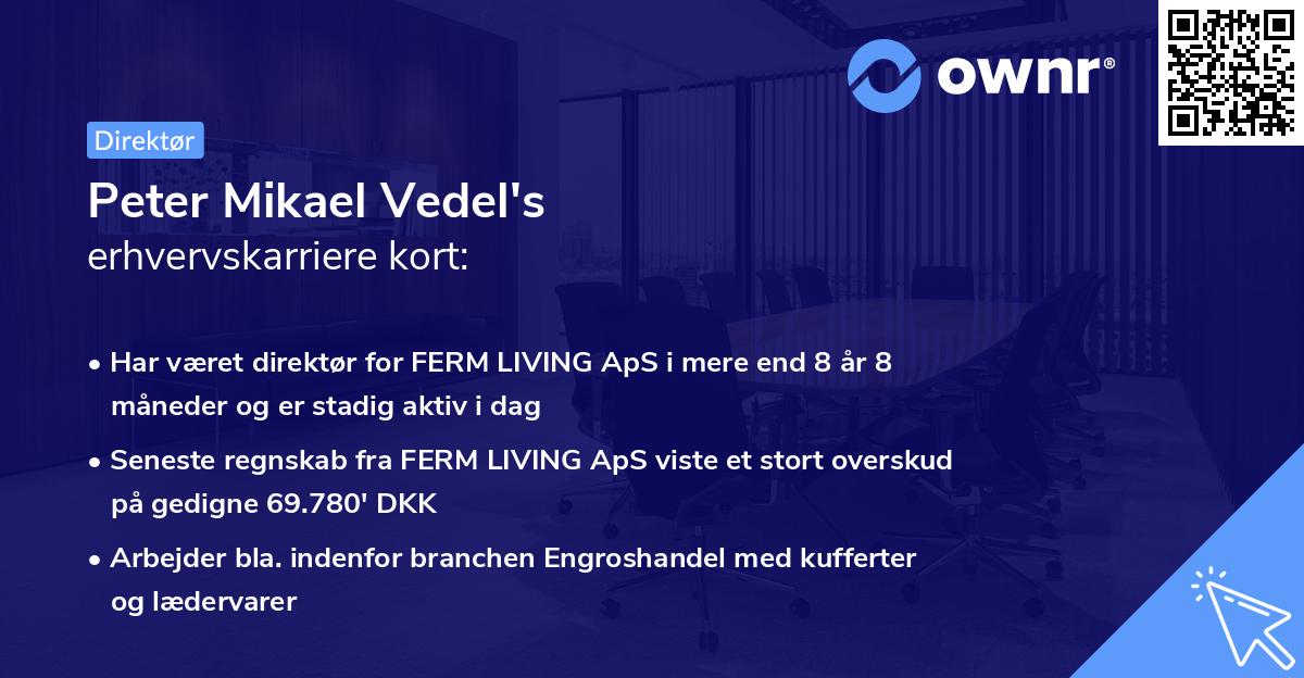 Peter Mikael Vedel's erhvervskarriere kort