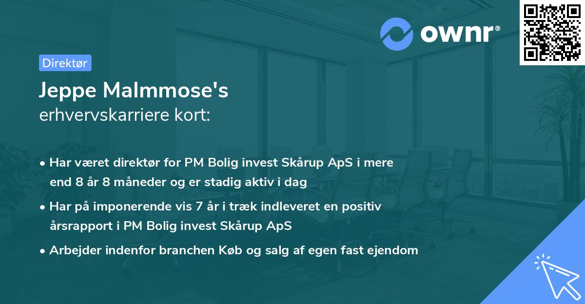 Jeppe Malmmose's erhvervskarriere kort