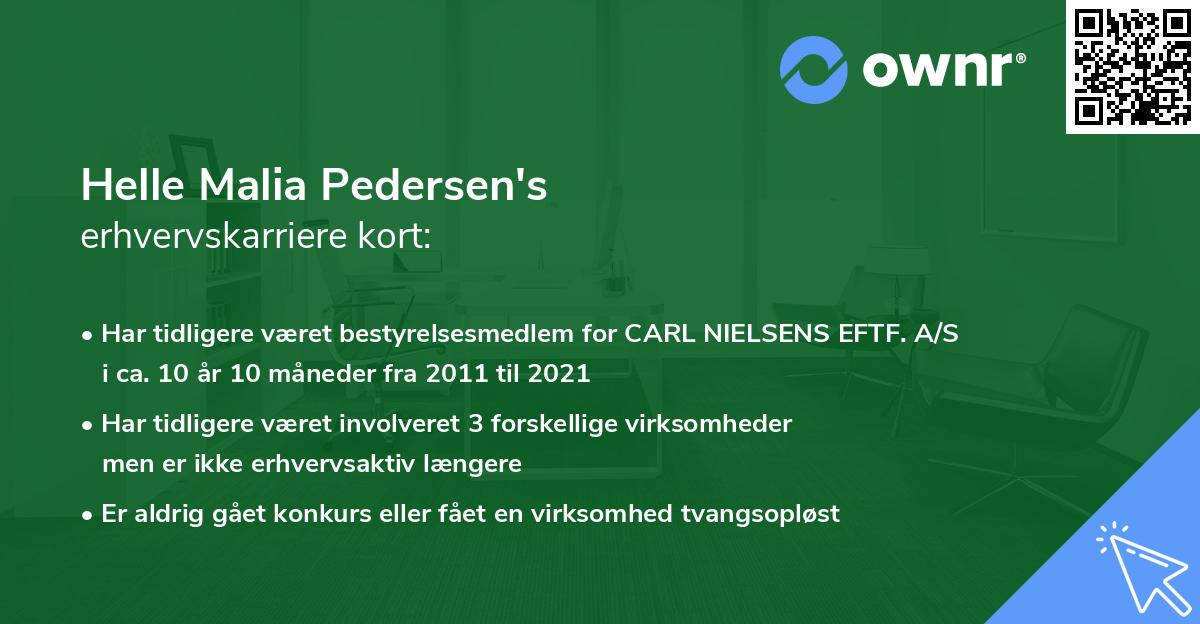 Helle Malia Pedersen's erhvervskarriere kort