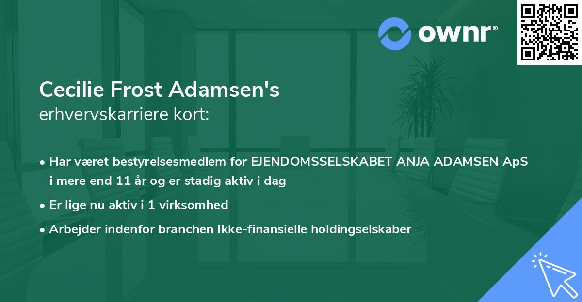 Cecilie Frost Adamsen's erhvervskarriere kort