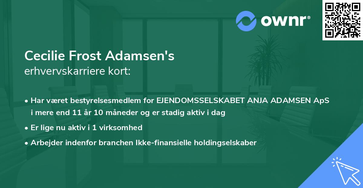 Cecilie Frost Adamsen's erhvervskarriere kort