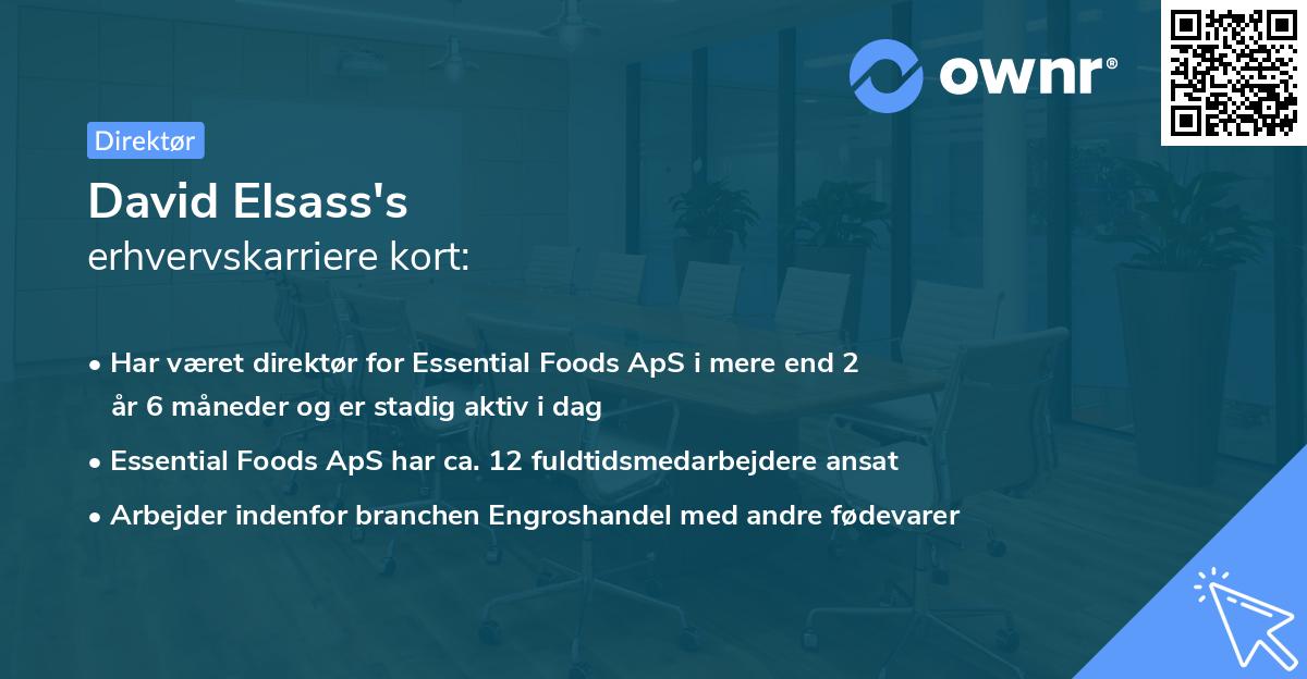 David Elsass's erhvervskarriere kort