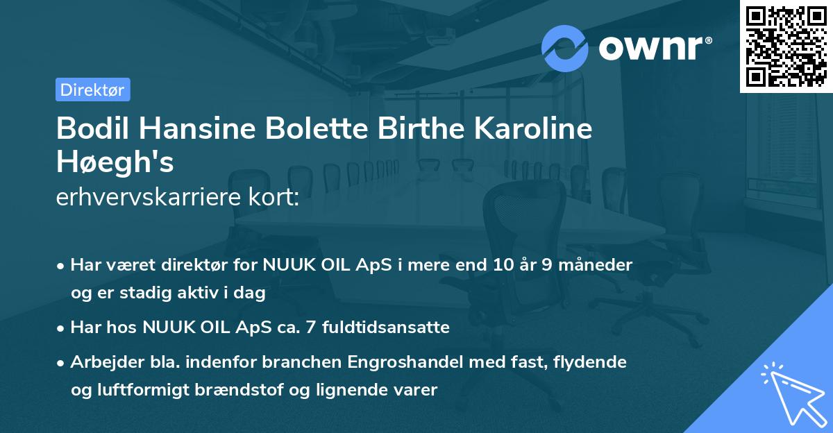 Bodil Hansine Bolette Birthe Karoline Høegh's erhvervskarriere kort