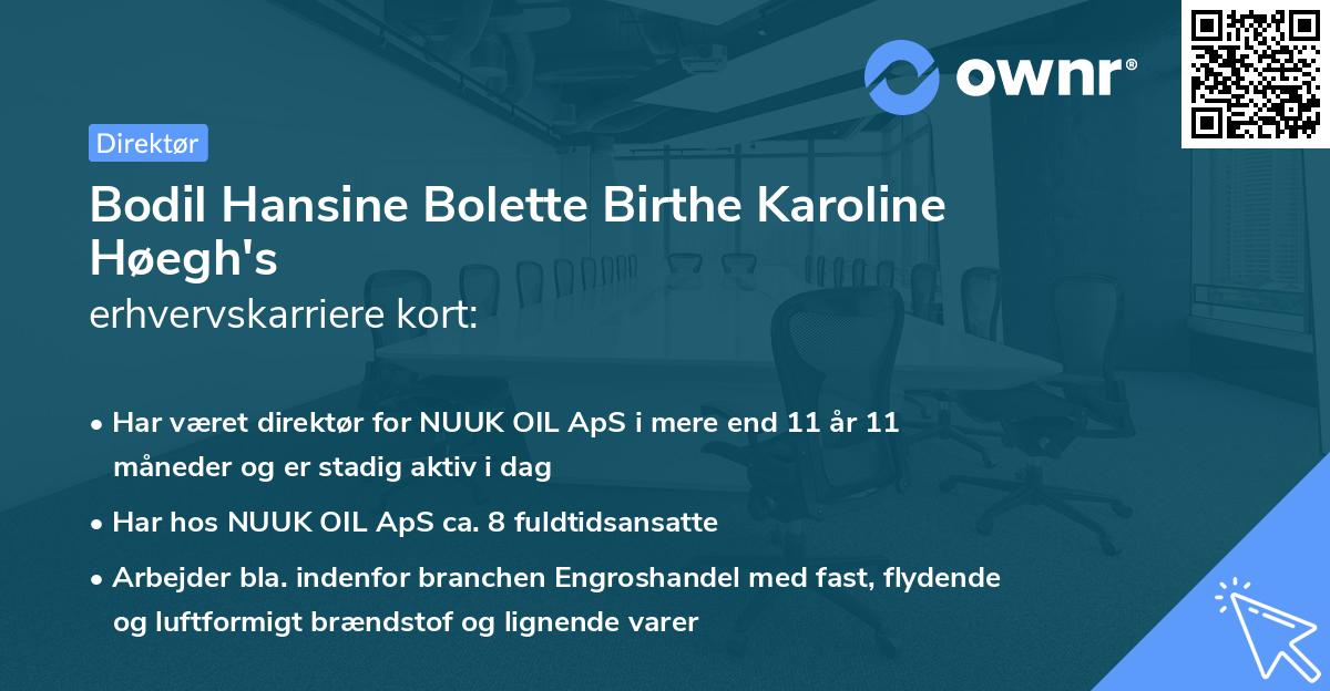 Bodil Hansine Bolette Birthe Karoline Høegh's erhvervskarriere kort
