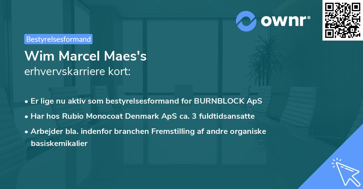 Wim Marcel Maes's erhvervskarriere kort