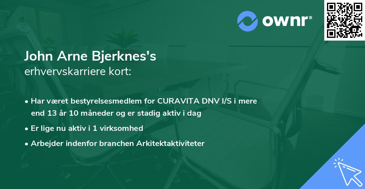 John Arne Bjerknes's erhvervskarriere kort