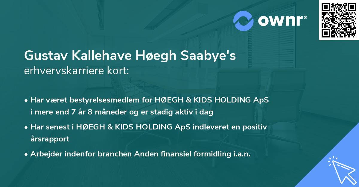 Gustav Kallehave Høegh Saabye's erhvervskarriere kort