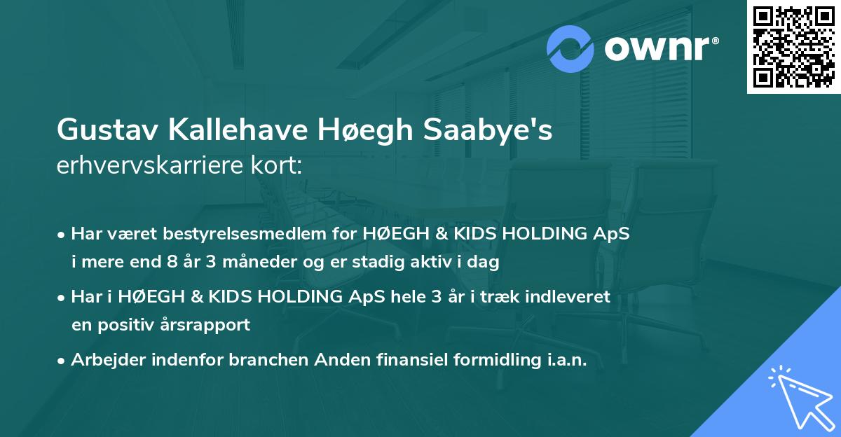 Gustav Kallehave Høegh Saabye's erhvervskarriere kort