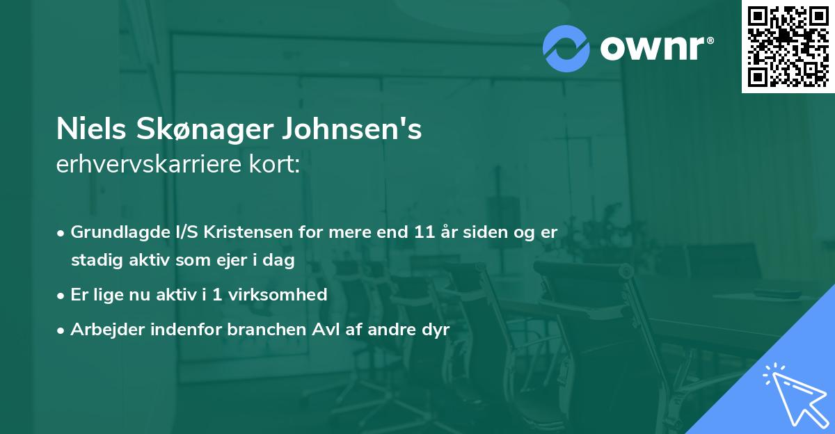 Niels Skønager Johnsen's erhvervskarriere kort