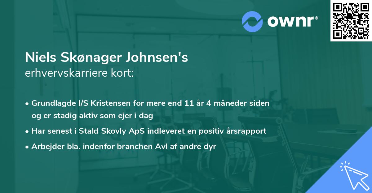 Niels Skønager Johnsen's erhvervskarriere kort