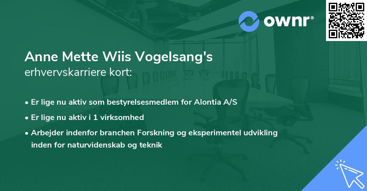Anne Mette Wiis Vogelsang's erhvervskarriere kort