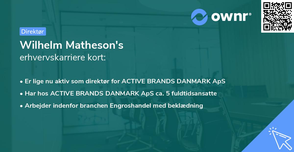 Wilhelm Matheson's erhvervskarriere kort