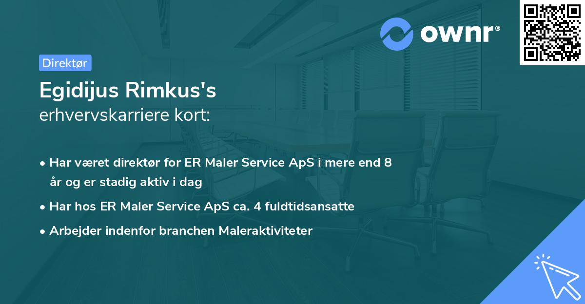 Egidijus Rimkus's erhvervskarriere kort