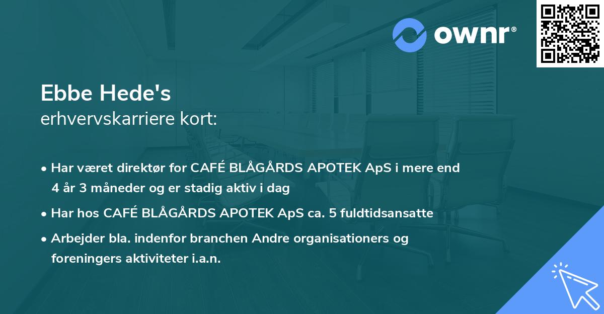 Ebbe Hede's erhvervskarriere kort