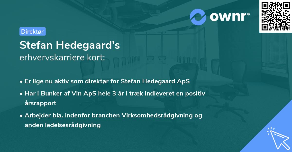 Stefan Hedegaard's erhvervskarriere kort