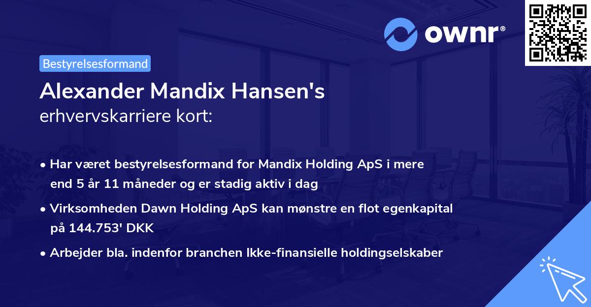 Alexander Mandix Hansen's erhvervskarriere kort
