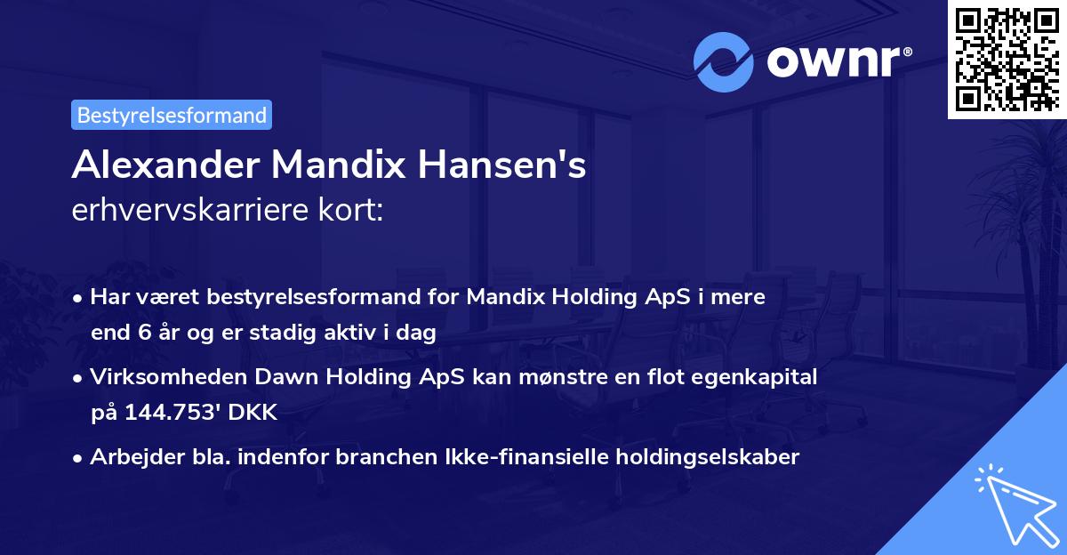 Alexander Mandix Hansen's erhvervskarriere kort