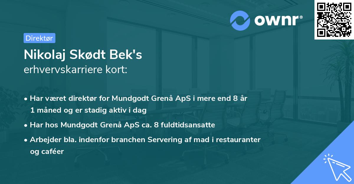 Nikolaj Skødt Bek's erhvervskarriere kort