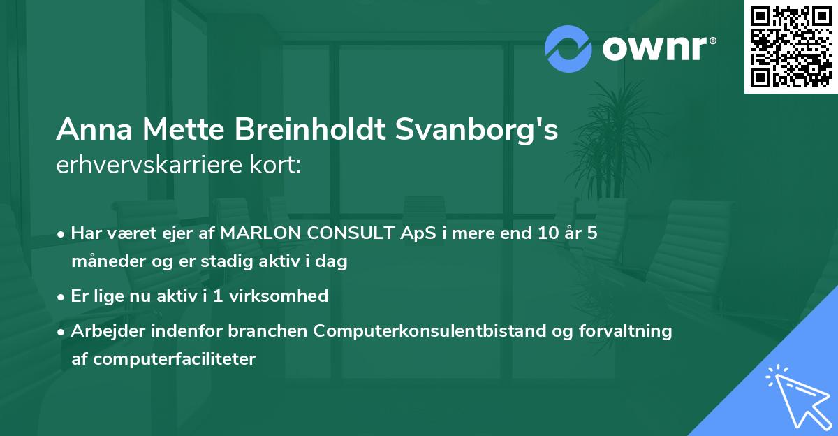 Anna Mette Breinholdt Svanborg's erhvervskarriere kort